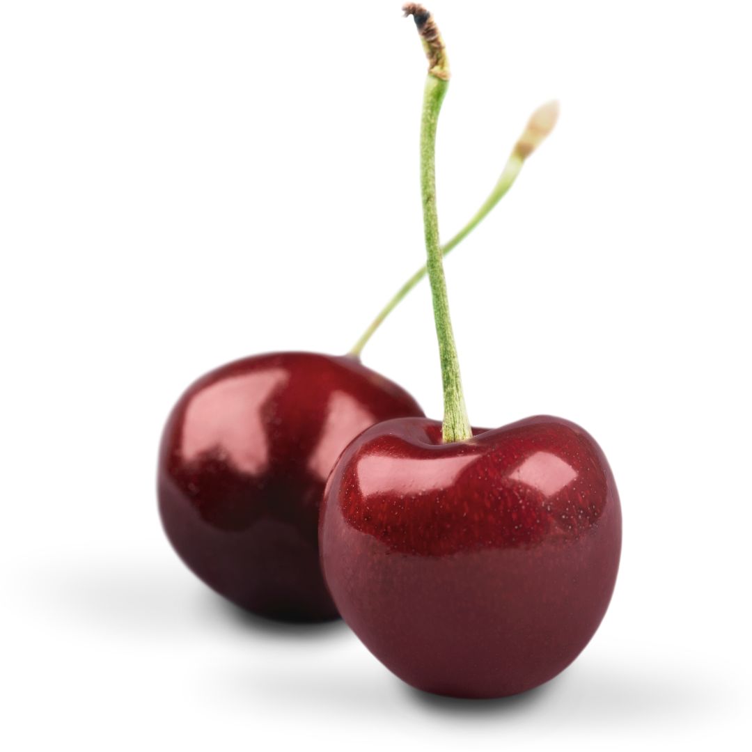 SOUR CHERRY CONCENTRATE