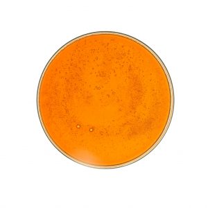 Date Juice Concentrate